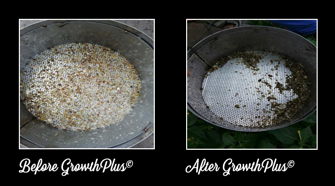 GrowthPlus-Necrotic-enteritis-feces-appearance-before-and-after-2