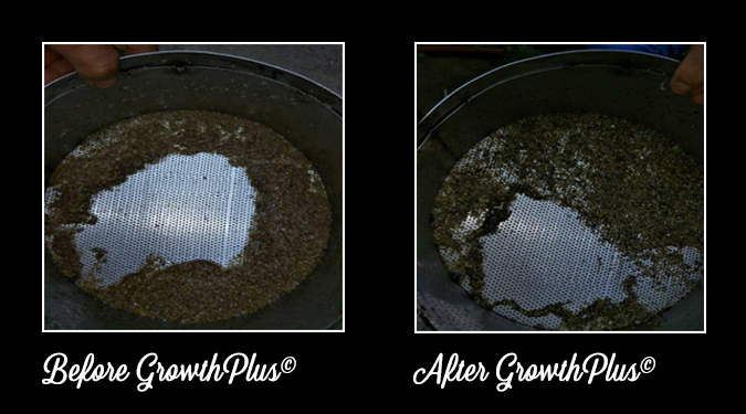 GrowthPlus-Necrotic-enteritis-feces-appearance-before-and-after-3