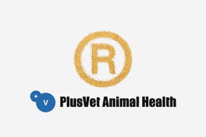 PlusVet Animal Health, feed additives, feed additives, plant extracts, essential oils, phytobiotics, phytochemicals, phytogenics, replace antibiotics growth promoters, natural products, digestive health, poultry, poultry, swine, pigs, ruminants, aquaculture, rabbits