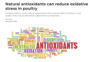 antioxidant, oxidative stress, stress, meat quality, fat quality, protein content, free radicals, redox balance, PlusVet Animal Health, feed additives, feed additives, plant extracts, essential oils, phytobiotics, phytochemicals, phytogenics, replace growth promoting antibiotics, natural products, digestive health, poultry, poultry, swine, pigs, ruminants