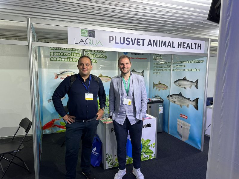 Aquaculture, Fish Farming, Shrimp, Tilapia, Prawn, Shrimp, Sea Cucumber, PlusVet Animal Health, Food Additives, Animal Feed Additives, Plant Extracts, Essential Oils, Phytobiotics, Phytochemicals, Phytogenics, Replace Growth Promoting Antibiotics, Natural Products, digestive health, vibrio