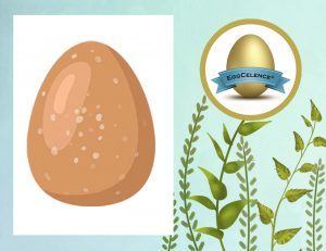 PlusVet Animal Health, feed additives, feed additives, plant extracts, essential oils, phytobiotics, phytochemicals, phytogenics, laying hens, layers, breeders, poultry, broilers, chicks, chicken, zinc, saline water, sodium chloride, egg quality, eggshell, yolk, cracked eggs, cracks, shell, laying rate, egg production, defective eggs, fractures, selenium, magnesium, manganese, zinc, LIVER, fertility