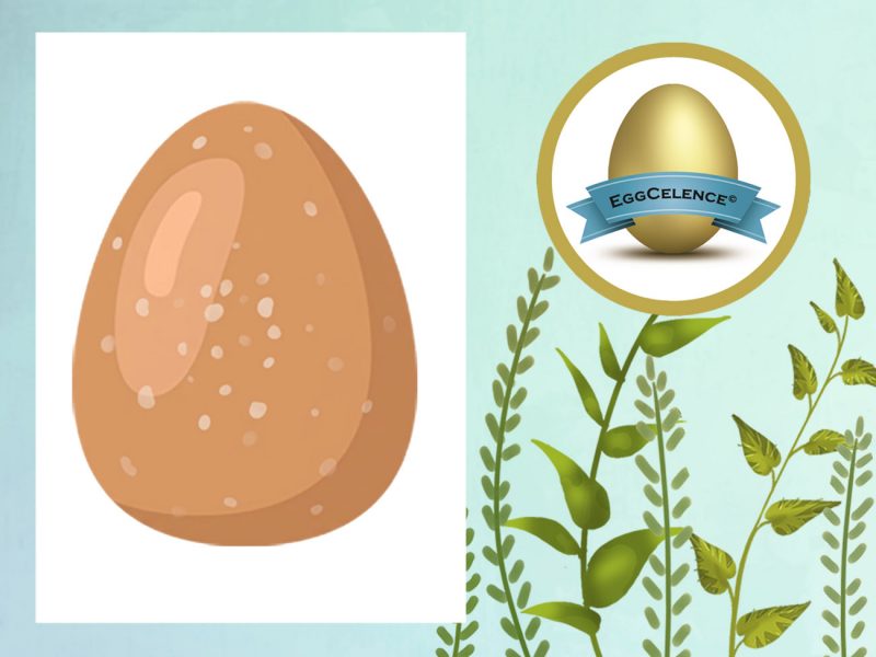 PlusVet Animal Health, feed additives, feed additives, plant extracts, essential oils, phytobiotics, phytochemicals, phytogenics, laying hens, layers, breeders, poultry, broilers, chicks, chicken, zinc, saline water, sodium chloride, egg quality, eggshell, yolk, cracked eggs, cracks, shell, laying rate, egg production, defective eggs, fractures, selenium, magnesium, manganese, zinc, LIVER, fertility