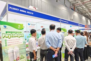 PlusVet Animal Health, feed additives, feed additives, plant extracts, essential oils, phytobiotics, phytochemicals, phytogenics, replace antibiotics growth promoters, natural products, digestive health, poultry, poultry, swine, pigs, ruminants, aquaculture, rabbits