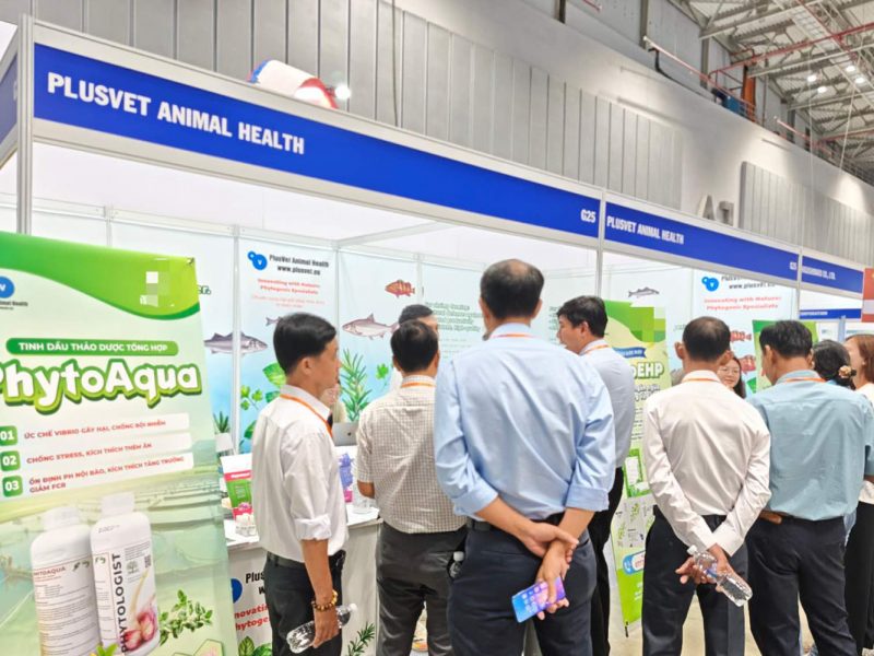 PlusVet Animal Health, feed additives, feed additives, plant extracts, essential oils, phytobiotics, phytochemicals, phytogenics, replace antibiotics growth promoters, natural products, digestive health, poultry, poultry, swine, pigs, ruminants, aquaculture, rabbits