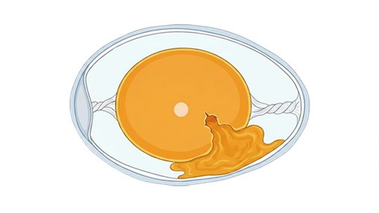 PlusVet Animal Health, feed additives, feed additives, plant extracts, essential oils, phytobiotics, phytochemicals, phytogenics, laying hens, layers, breeders, poultry, broilers, chicks, chicken, zinc, saline water, sodium chloride, egg quality, eggshell, yolk, cracked eggs, cracks, shell, laying rate, egg production, defective eggs, fractures, selenium, magnesium, manganese, zinc, LIVER, fertility