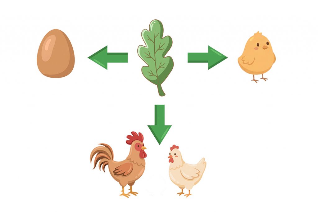 Poultry Science Publishes New Study on PhytoShield P in Broiler Breeders